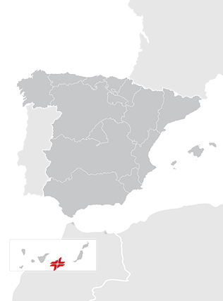 Puerto Las Palmas